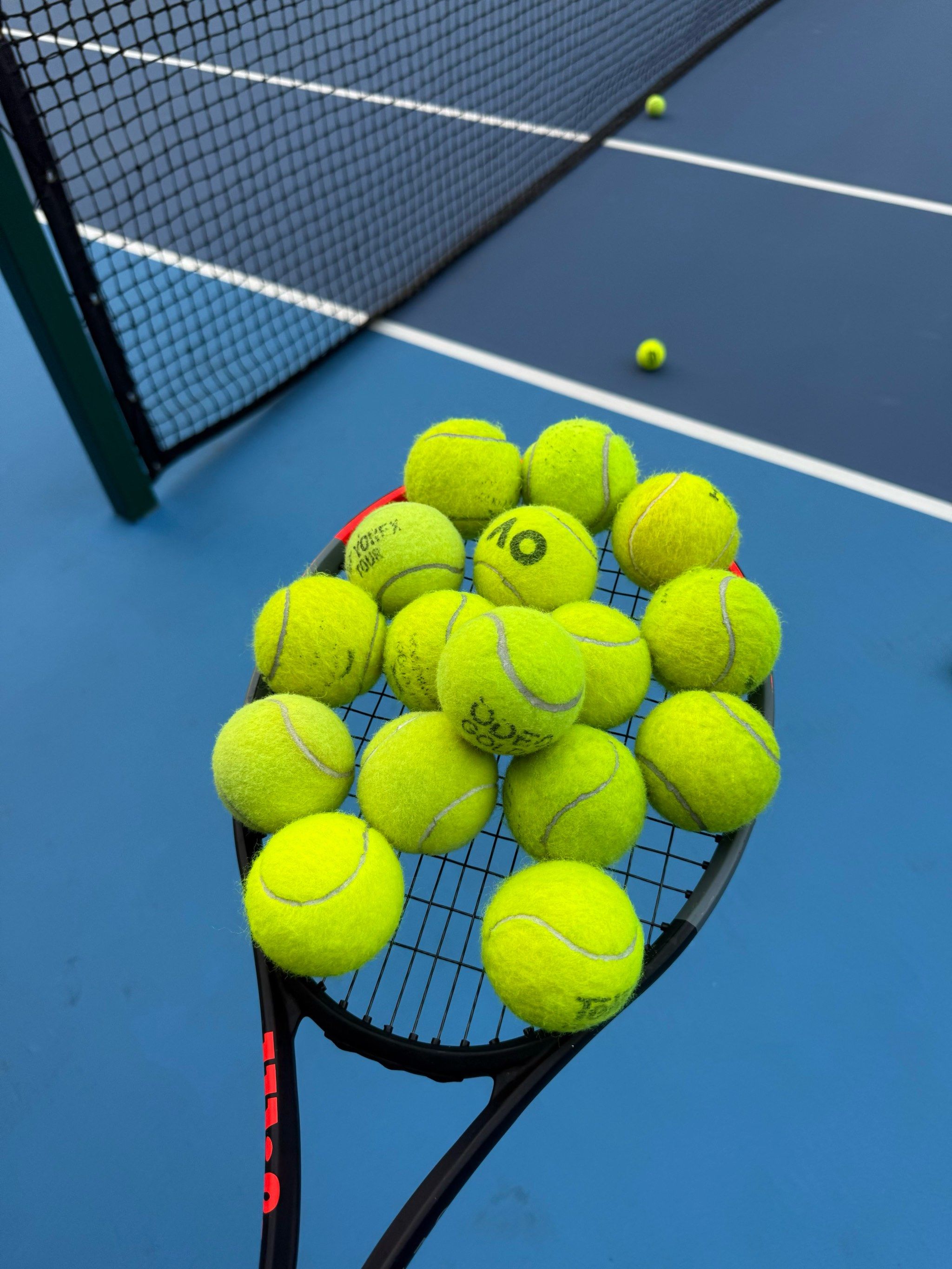 赛中均具有 赛中均具有