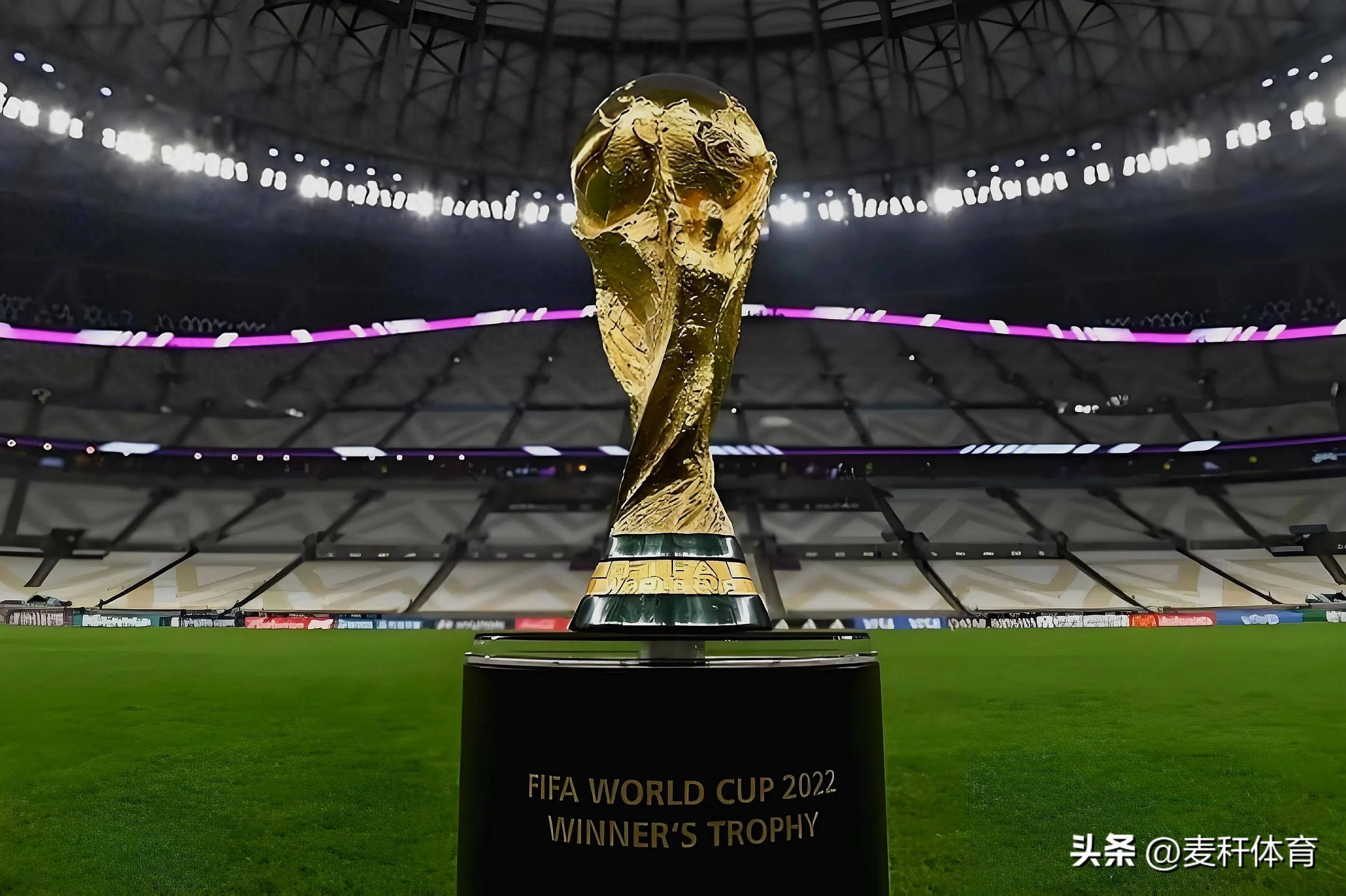 针对搜索引 针对搜索引